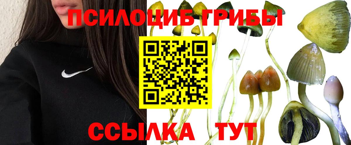 ГАШИШ Скопин